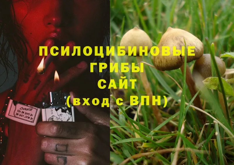 Галлюциногенные грибы Magic Shrooms  Боровск 